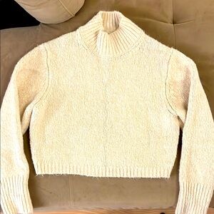 Zara Cream Turtleneck Sweater